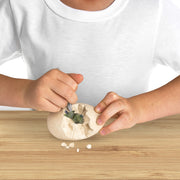 National Geographic Dino Egg Dig Kit