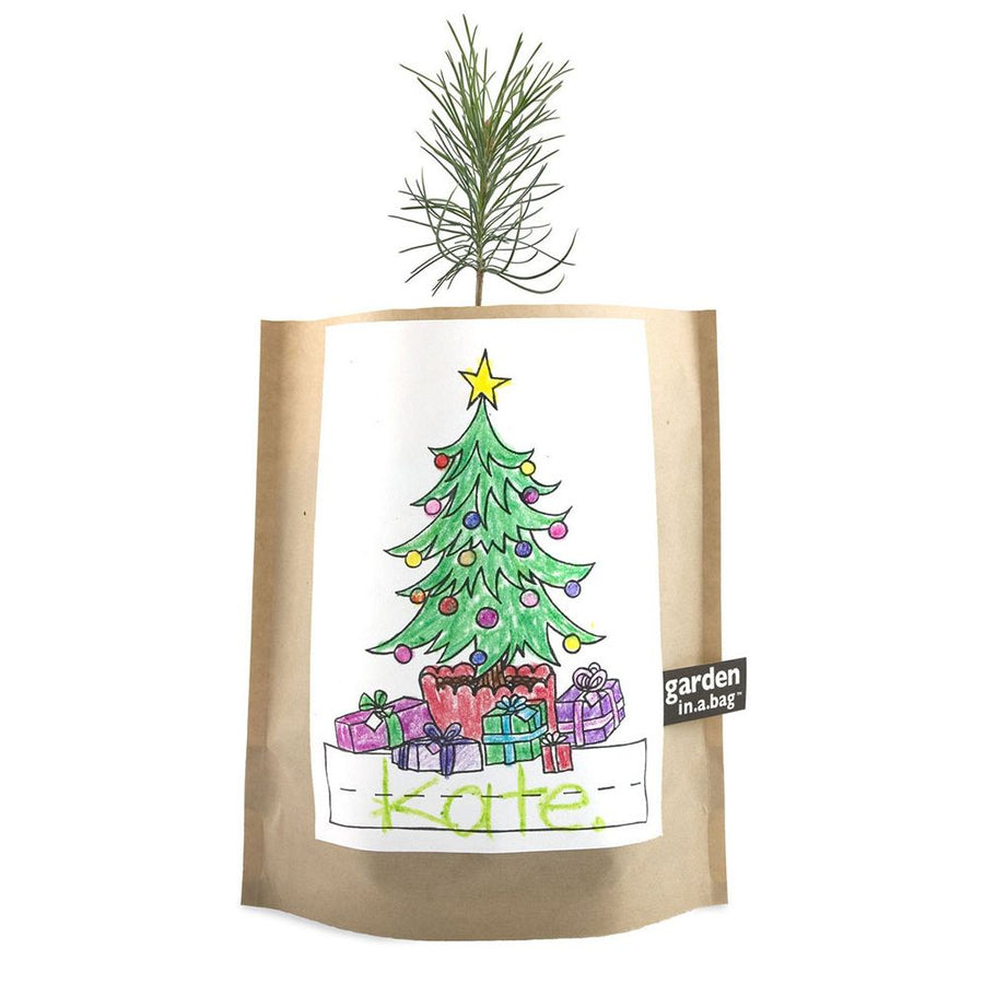 Garden in a Bag Grow Kit