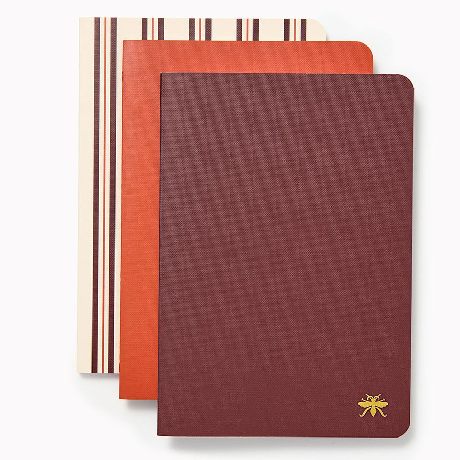 Chocolate Paper Wasp S/3 Notebooks