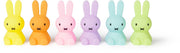 Mr Maria Miffy Bundle of Light Colorful Collection