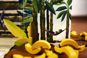 Tasso Banana by Junghee Choi, Philippe Proux