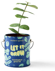 Complimentary Color Grow Kit - Let it Grow - Eucalyptus