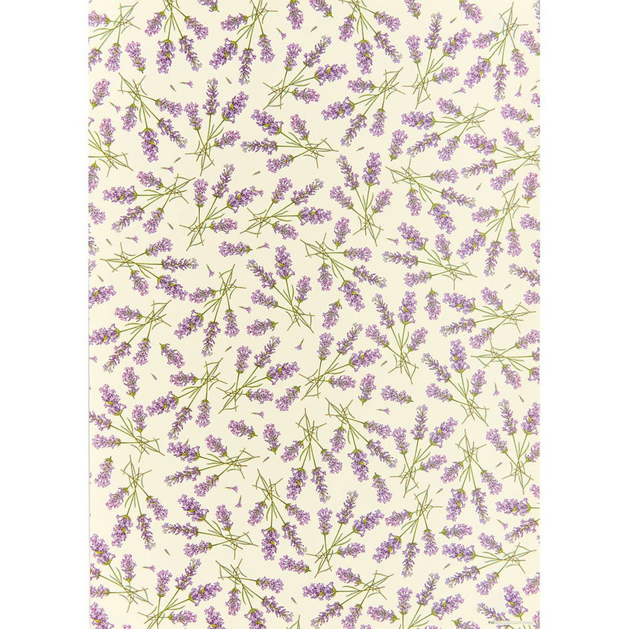 Lavender Fine Paper