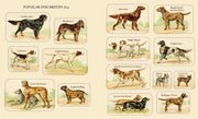 Cynthia Hart's Victoriana Dogs: The Sticker Book: 340 Captivating Stickers