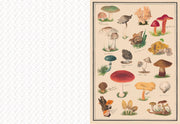 The Collage Compendium: 2,000 Images to Cut Out & Collage