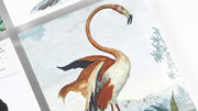 Birds A5 Notepad