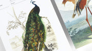 Birds A5 Notepad